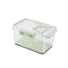 아이이피 다용도 밀폐용기 날짜표시 냉장고 냉동실 정리수납보관 투명용기, 1개, 투명그린 1개, 투명그린