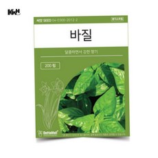 바질 씨앗 샐러드씨앗