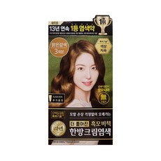 리엔 흑모비책 크림 염색약 120g 밝은갈색 1개/mj, 1개