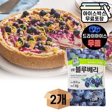 에이치에이유통 재호 냉동 블루베리 1kg (2봉) 업소용 대용량 냉동 과일 잼 세척과일, 2개