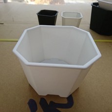 沅鈺農場 白色八角盆4號 - 園藝盆栽 種植花盆 塑膠花盆, 1個