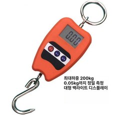 전자 매달림 저울 고리형 크레인 1톤 스케일 호이스트, 기본 모델명/품번, 200kg 플라스틱 케이스 전자 저울, 1kg