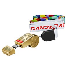 샌디스크 피파 골드 에디션 뚜껑형 USB 3.2 메모리, 1개, 128GB