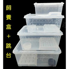 烏龜曬台 角蛙跳台 爬台 跳台 乾溼分離 水陸飼養盒 兩棲爬蟲 角蛙 烏龜 飼養盒專用, 1個, 單購 M中跳台