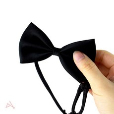 부승 소형 나비넥타이 촬영