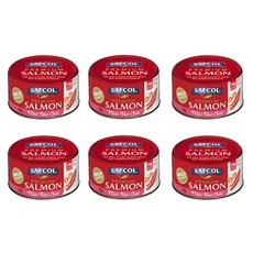 사프콜 크리미엄 살몬 연어 통조림 마일드 레드 칠리 Safcol Salmon Mild Red Chilli, 95g, 6개