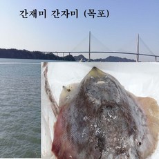 간자미 간재미 1 kg 목포, 1kg