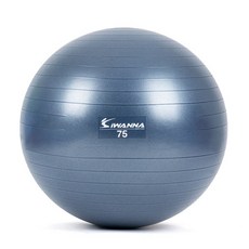 아이워너 안티버스트 마사지 짐볼, 블루인디고