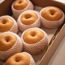 과일꾼 산지직송 나주배 ( 가정용 / 과일선물세트), 5kg 7과내, 1개