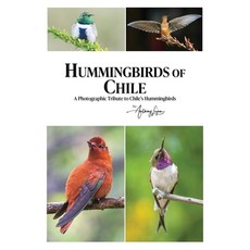(영문도서)Hummingbirds of Chile Paperback, Independently Published, English, 9798242483125 Independently Published, English, 9798242483125