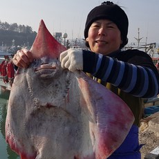 국내산 목포홍어 흑산도홍어 정숙이홍어 500g 1Kg, 1개, 흑산홍어 500g-삭힌맛