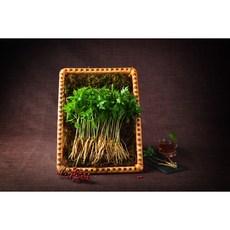 장성 문영철농부 새싹삼 새싹인삼, 60개