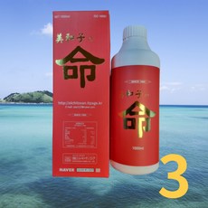 다이어트키토산 엘키토산코리아 명 저분자 수용성 발효 키토산1000ml x 3병 혈중콜레스테롤 개선에 체지방 감소에 도움을 줄수 있음, 3개, 1L