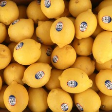 썬키스트 실속형 못난이 미국 레몬, 40개, 120g