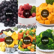 푸드마을 냉동 과일 블루베리 1kg, 1개