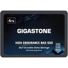 기가스톤 【NAS 인증 】 고내구성 SSD 4TB 최대 530MBs SLC 캐싱 게임PCNAS SSD 5년 보증 2.5인치 SATA 내장 솔리드 스테이트 드라이브 RAID 디스, High Endurance NAS SSD, 512GB
