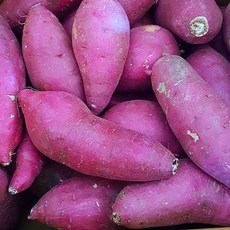 김의준고구마 영암고구마 꿀고구마 베니하루카, 1개, 세척 꿀고구마 5kg(중)