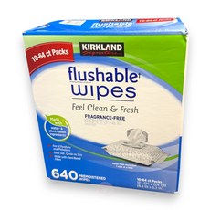 Kirkland Signature 科克蘭濕式衛生紙 64張X10包, 1包