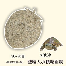 純天然烏龜沙，養龜底砂, 1個, 細沙3號,龜四季可用沙【2500g送100克】