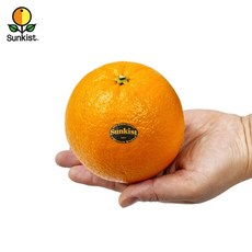 썬키스트 블랙라벨 고당도 오렌지 대과, 1개, 2.5kg, 10입