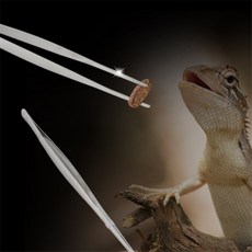 두루픽 파충류 도마뱀 먹이 급여 핀셋 밀웜 집게 곤충