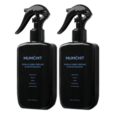 대용량섬유향수 블루밍부케250ml 2개, 블루밍부케, 250ml