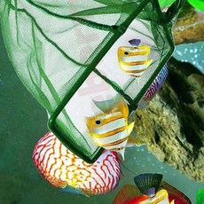 수조 어항 뜰망 어항뜰채 수족관청소 민물낚시용품 수족관꾸미기 수조청소용품 새우뜰채