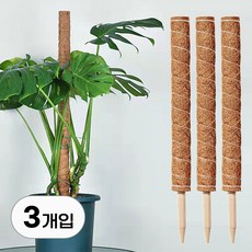 식물 수태봉 세트 50cm 화분 원예용 넝쿨 지지 수태 지주대 울타리 원예 화초 가드닝 용품 가든 화단 만들기, 3개