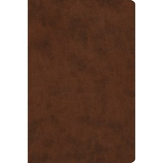 (영문도서) Value Compact Bible-ESV Imitation Leather, Crossway, English, 9781433547591