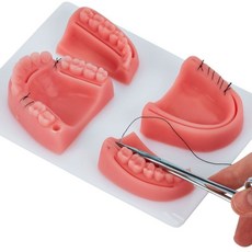 치과 구강 봉합 실습 모형 세트 의대생 치주 훈련 도구 의학 교육용 바늘 봉합 기구 키트 1_분리형 스타일, 1개