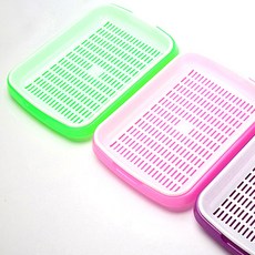 콩나물시루 수경재배기 가드닝 가정용