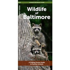 (영문도서)Wildlife of Baltimore: A Folding Pocket Guide to Familiar Animals Hardcover, Waterford Press, English, 9781620058589