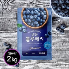 기타 [IQF공법] 깨끗이 씻어나온 칠레산 냉동블루베리 1kg+1kg (총 2팩), 2개, 1kg