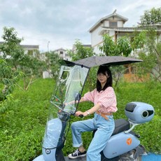 자전거지붕 오토바이 전기자전거 우산 캐노피 스쿠터 레인 차양막 가림막, 1개, 14. 샴페인 옐로우(작은 창 있음)