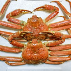러시아 대게 박달대게 자숙 스노우크랩, 1박스, 3kg (2~3미)