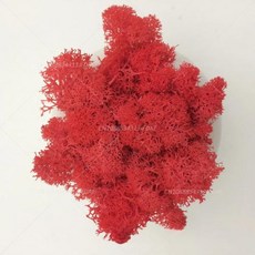 인공 녹색 식물 영원한 생명 DIY 잔디 홈 룸 미니 가짜 50g, 14)10g, red