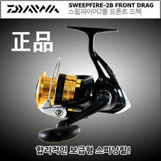 다이와 스윕파이어 2볼 2000-5000 민물 바다 워킹 원투 루어 입문용 스피닝릴, 3000번