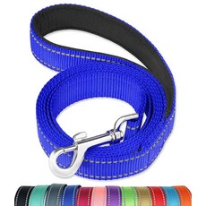 FunTags 훈련용 부드러운 패딩 손잡이가 있는 1.8m6피트 반사 강아지 목줄 대형견 및 중형견용 산책용 리드 너비 2.5cm1인치 레드 146580, 로열 블루, 1