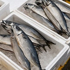 [생산지직송] 밥도둑으로 많은 국내산 자반고등어, 1개, 국내산 자반 고등어 대(200g내외) 10미