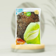 국산 헛개나무 지구자 600g 백석목, 1개