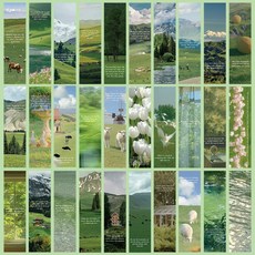 퓨어온 숲 풍경 디자인 독서 필수템 책갈피 30종 세트 4 x 15 cm, 1세트, 그린