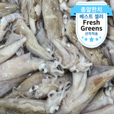 [원양산] 자연산 생물 급냉 총알한치 담백 고소 내장가득 초코한치 통찜한치, 1세트, 2kg(1kg 2팩)