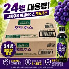 서울우유 아침에주스 포도주스 350mlx24개 포도농축과즙 무설탕 착즙 멸균처리 장기간 상온보관 가능 후식 소풍음료, 350ml, 24개