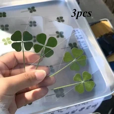 1개 행운의 네잎 클로버 엽서 천연 잔디 투명 소원 카드 치유 신선한 심플한 바람 선물, [04] green-3pcs