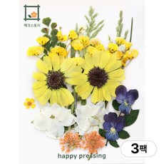 체크스토리 압화 컬러가든시리즈 누름꽃 꽃송이 압화재료 공예, 해바라기옐로우17(3팩), 옐로우