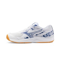 미즈노 블라스터 4 71GA253311