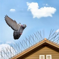 비둘기퇴치 스파이크 에어컨실외기 엘제이엘 65087EA 1(EA), 1개