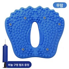 실내 지압 제자리 걷기 계단오르기 운동 운동기구 유산소, 씨블루