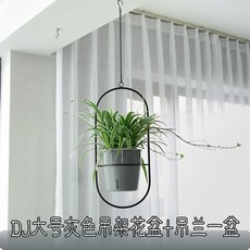 北歐風懸掛式鐵藝吊籃花盆架 綠蘿吊盆 水培吊掛式懶人花盆, 1個, DJ大號灰色+吊蘭一盆,樹脂