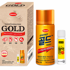 한미약품 에너지골드 카페인&생기엔 활력진 드링크 세트, 1세트, 20ml, 120g